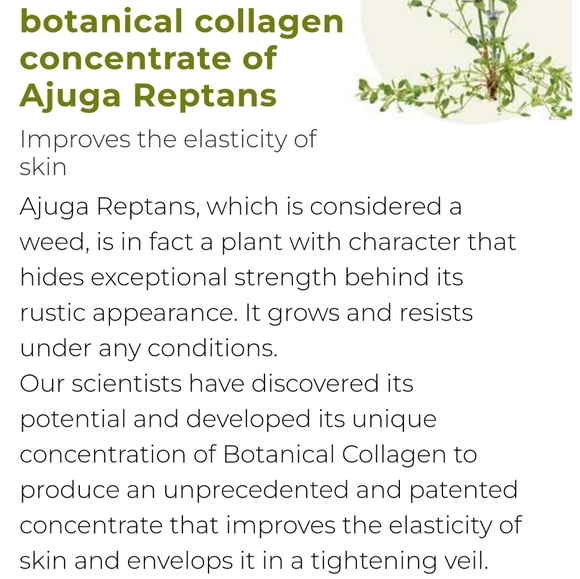 Yves Rocher Lifting Vegetal Day Cream Collagen Face & Decolletage NWT - Picture 7 of 8